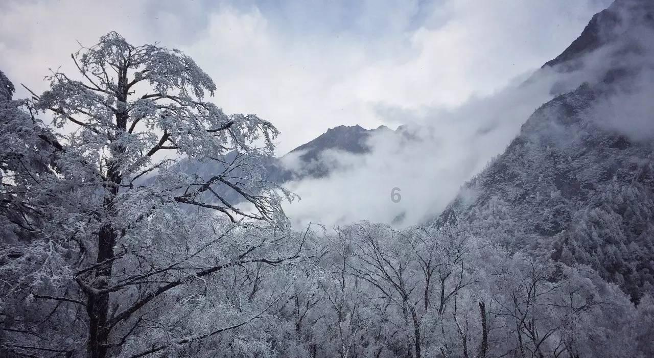 蜗牛问答平台什么地方或软件能免费制作封面?,快速解决你的问题